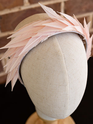 Close up of the pink feathers.